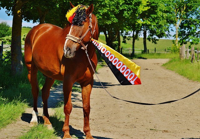 成为了关键 成为了关键