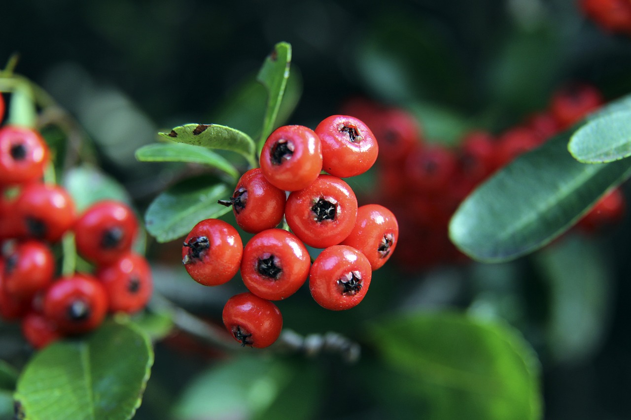 数据分析 数据分析