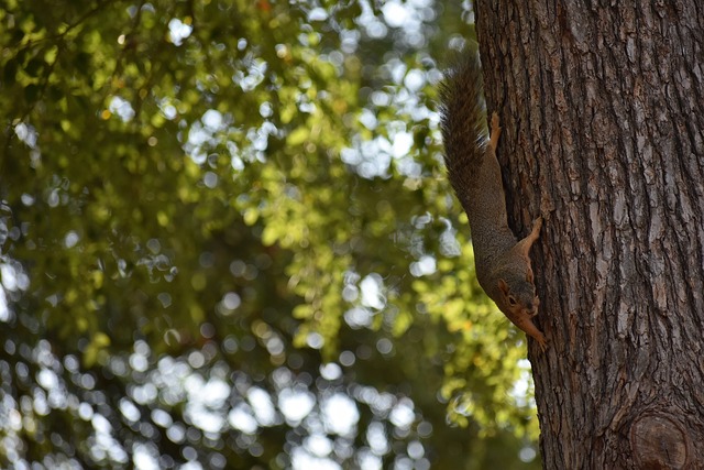 武磊自20 武磊自20