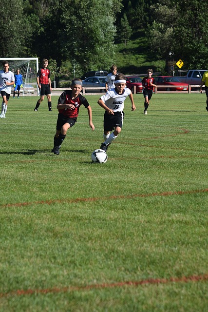 纽约尼克斯 纽约尼克斯