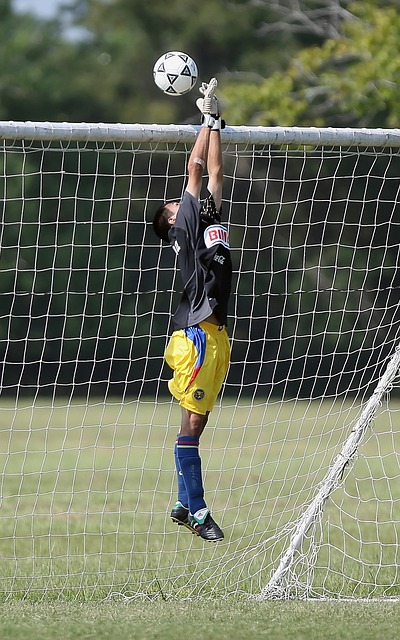 淋漓尽致 淋漓尽致